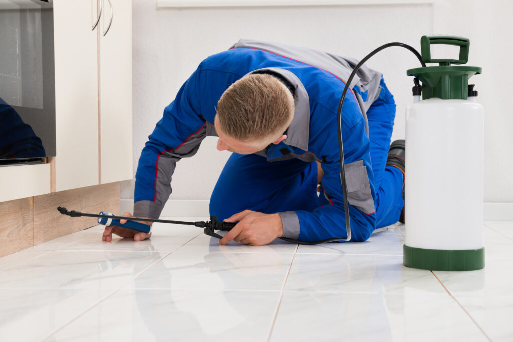 Rancho Santa Margarita Ant Control Xperts