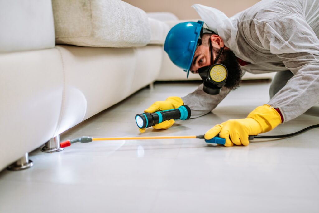 Rancho Santa Margarita Termite Control