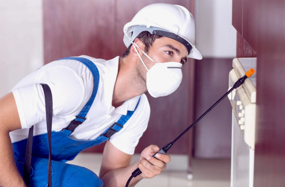 Rancho Santa Margarita local pest services