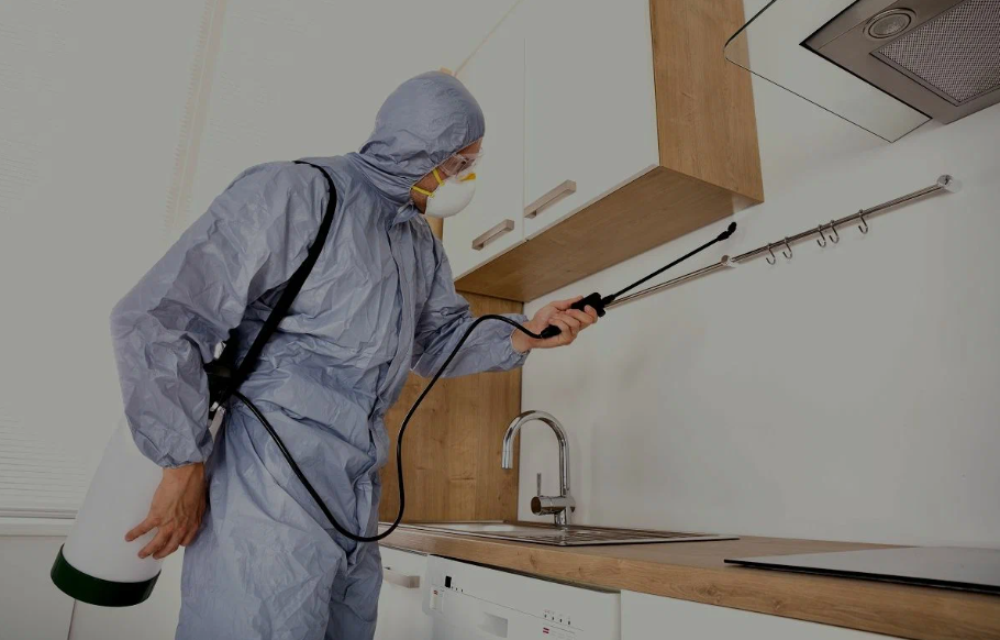 Rancho Santa Margarita pest managment